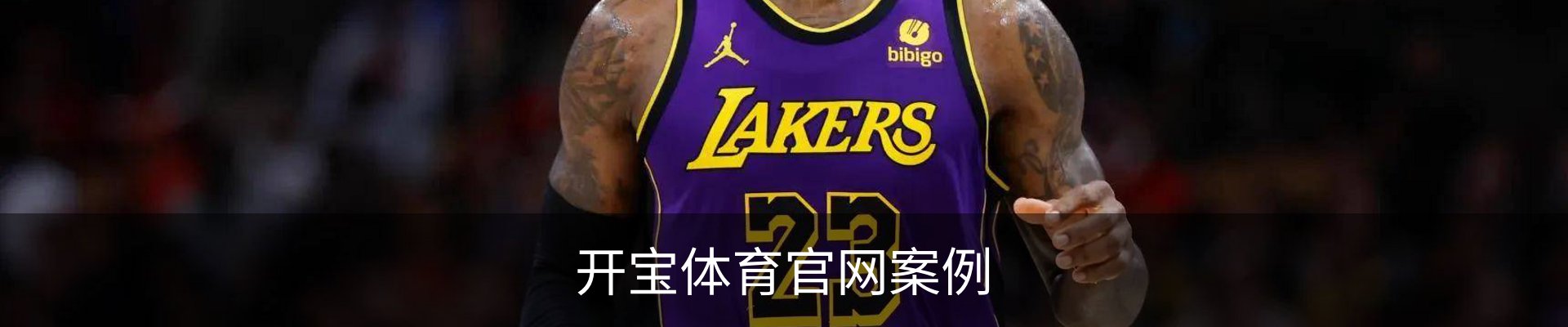 开宝体育官网案例