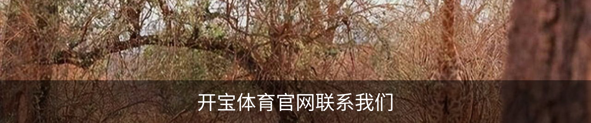 开宝体育官网联系我们